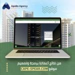 Programming and designing the website for Capspere company