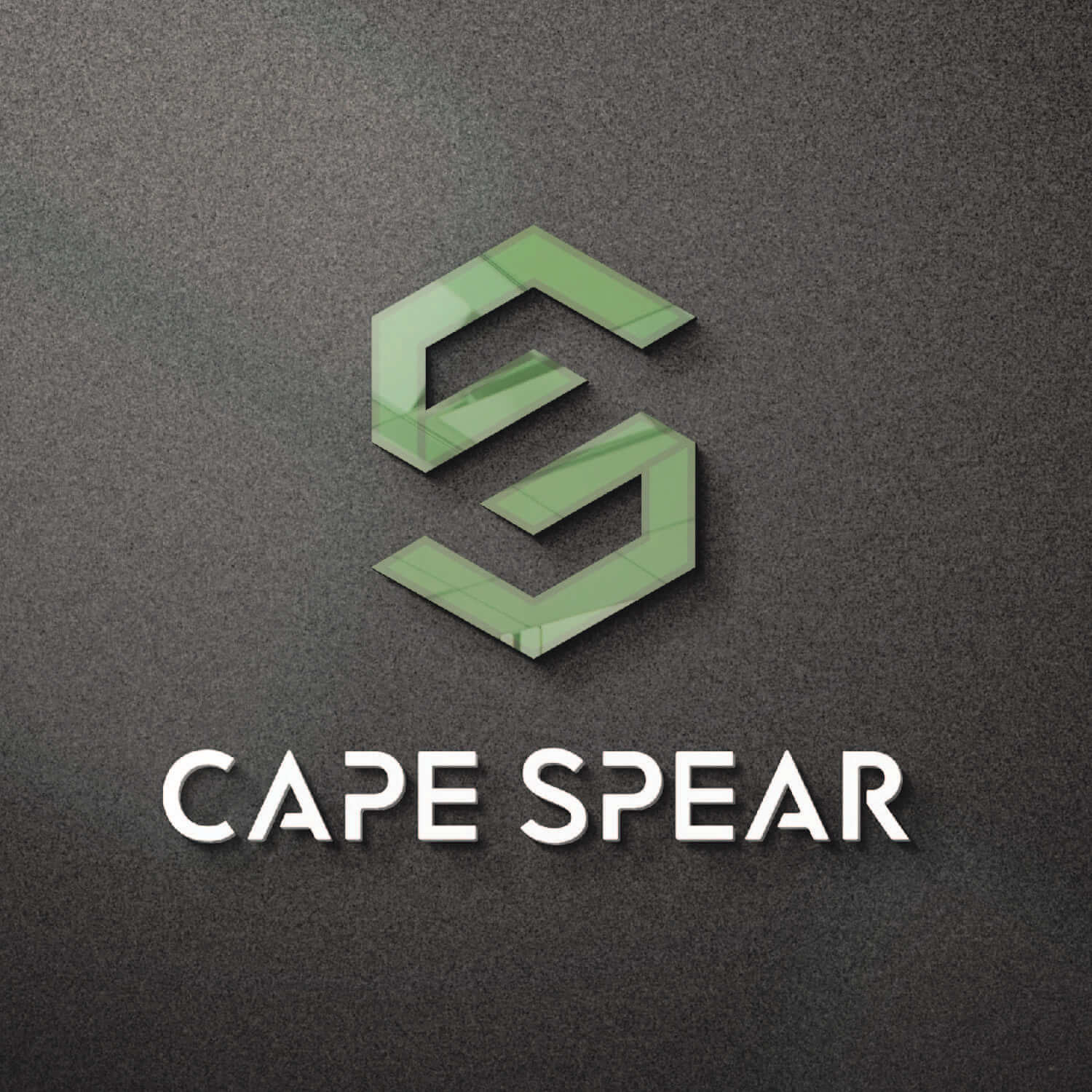 تصميم الهوية البصرية لشركة CAPE SPEAR